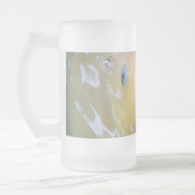 Chope Givrée Falln chantant Ghost Koi (Gauche)