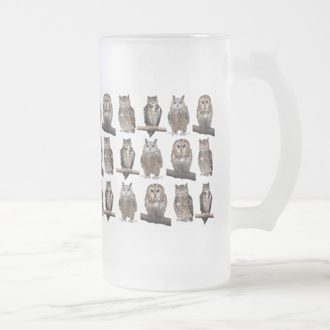 Chope Givrée Owls (Droit)