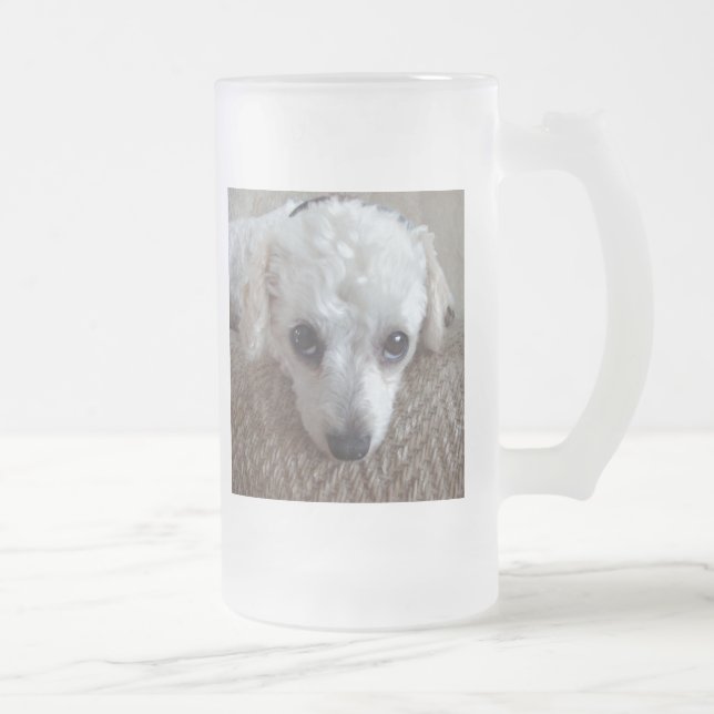 Chope Givrée Petit chien blanc de caniche (Droit)