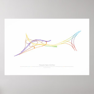 Choreografie des Austauschs: Chesapeake, VA, US 1 Poster