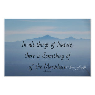 Choses de la nature Photo Élargissement