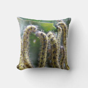 Chou affamé Blanc Caterpillar Coussin
