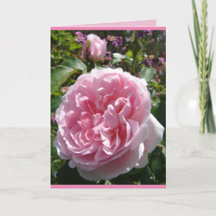 Chou Vintage rose Anglais Rose carte florale