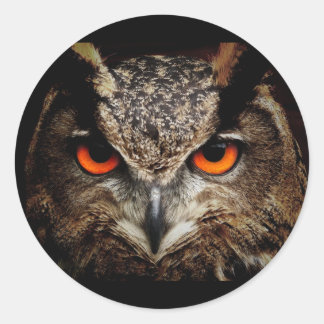 Chouette aux yeux jaunes Sticker rond