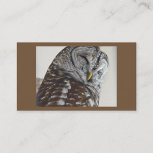 Chouette Carte de visite