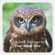 Chouette "Ce livre appartient à" Sticker