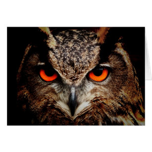 Chouette d'aigle des yeux rouges