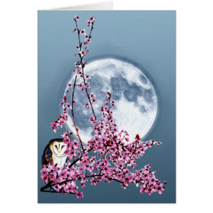 Chouette dans l'arbre du prune