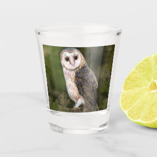 Chouette de l'Ouest en verre de tir