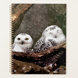 Chouette Harfang Couple Art Bois Faune