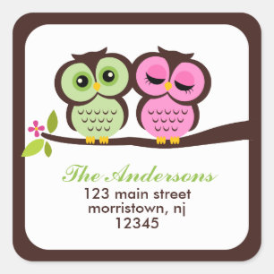 Chouettes Belles Étiquettes de adresse