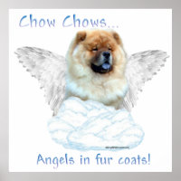 Chow Angel im Pelzkostposter