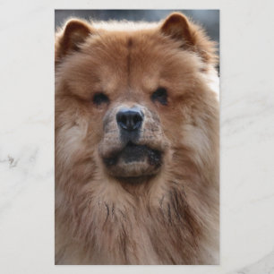 Chow Briefpapier