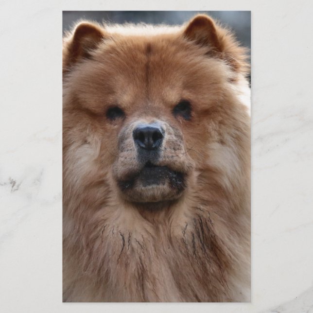 Chow Briefpapier (Vorderseite)