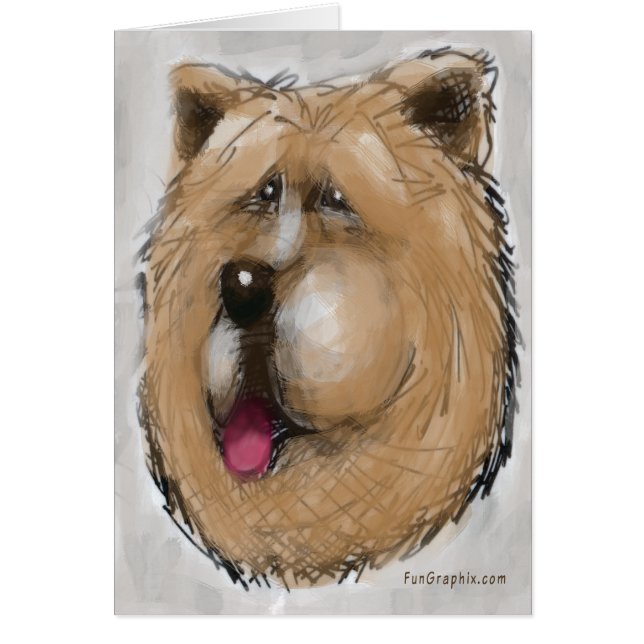 Chow Chow (Vorne)