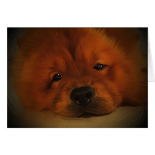 Chow-Chow