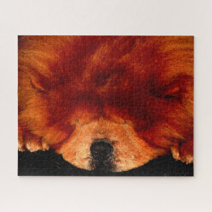 Chow Chow 16x20 520pc jpcna