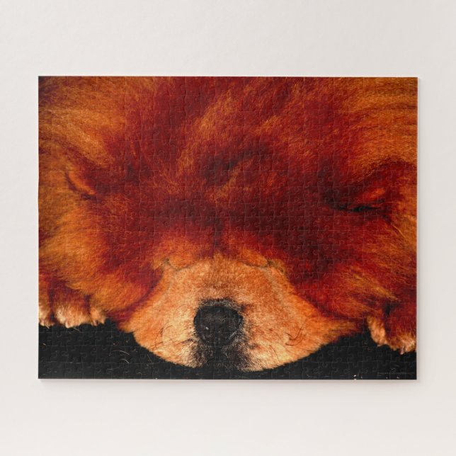 Chow Chow 16x20 520pc jpcna (Horizontal)