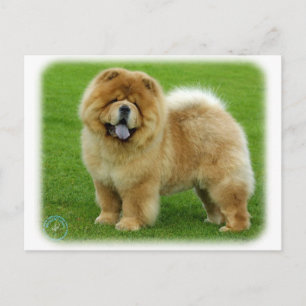 Chow Chow 9B008D-06 Postkarte