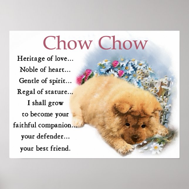 Chow Chow Art Poster (Vorne)