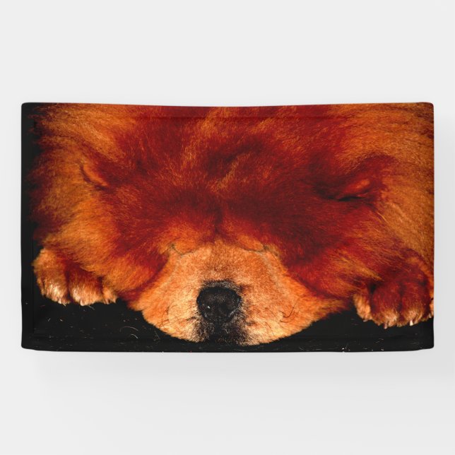 Chow Chow bnrcna Banner (Horizontal)