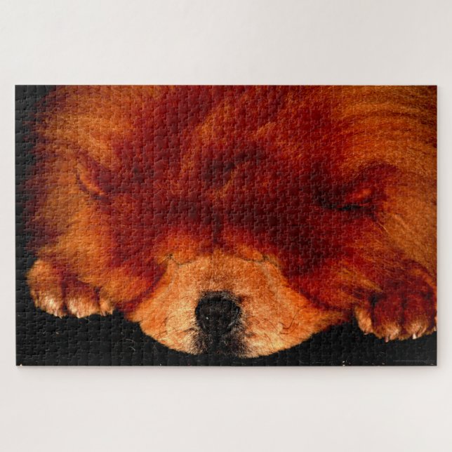 Chow Chow Chow 20x30 1014pc jpa (Horizontal)