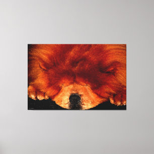 Chow Chow Chow 60x40 (150x100cm) Waccnm Leinwanddruck