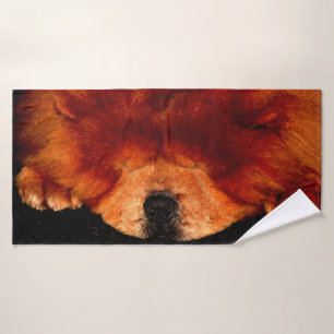 Chow Chow Chow btcn dormant