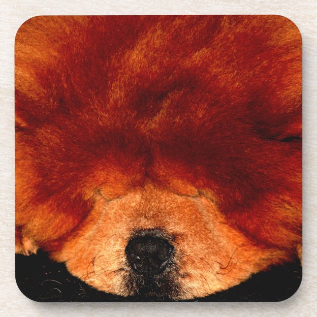 Chow Chow Chow Coast Getränkeuntersetzer (Vorderseite)
