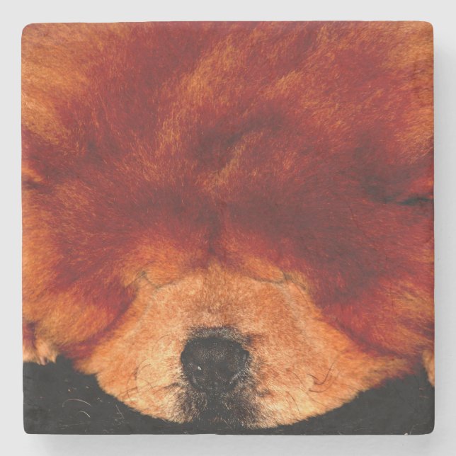 Chow Chow Chow Coercnm Steinuntersetzer (Vorderseite)
