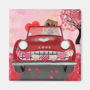 Chow Chow Chow Dog Driving Car mit Herz Valentin Magnet