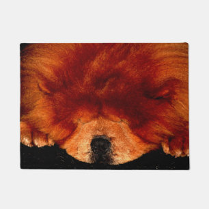 Chow Chow dmcn Fußmatte
