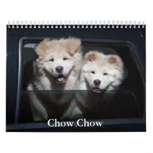 Chow Chow Dog Calendar Kalender