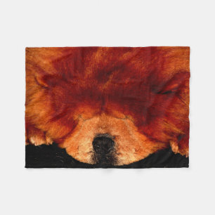 Chow Chow fbcna schlafend Fleecedecke