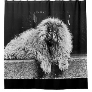 Chow-Chow-Hund auf dem Portal, Schwarzweiss Duschvorhang