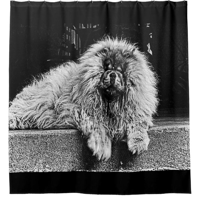 Chow-Chow-Hund auf dem Portal, Schwarzweiss Duschvorhang (Vorderseite)