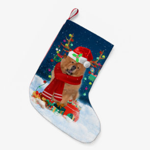 Chow Chow Hund mit Weihnachtsgeschenken Kleiner Weihnachtsstrumpf