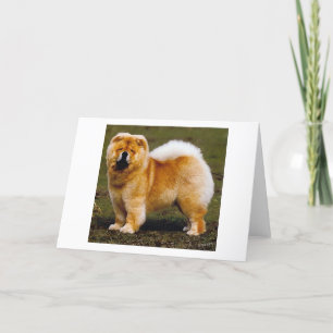 Chow-Chow-Hundeporträt-Raum-Gruß-Karte Karte