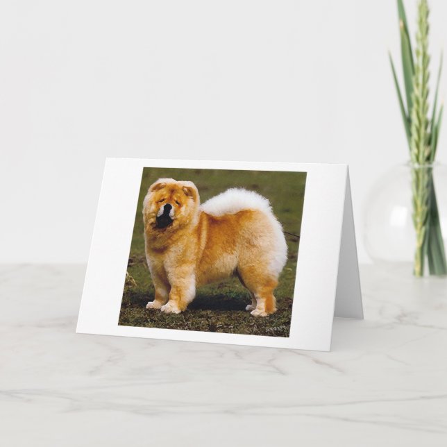 Chow-Chow-Hundeporträt-Raum-Gruß-Karte Karte (Vorderseite)