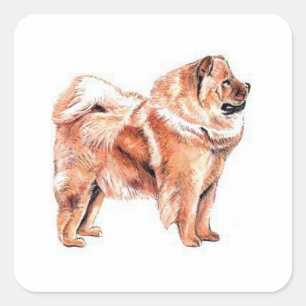 Chow Chow Red Quadratischer Aufkleber