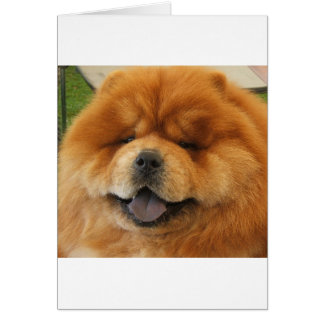 Chow Chow Rescue