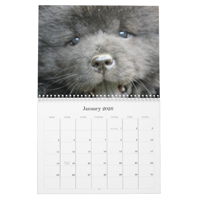 Chow-Chow-Rettungs-Kalender Kalender (Jan 2026)
