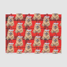 Chow Chow Santa Dog an Karierten Weihnachtsfeierta