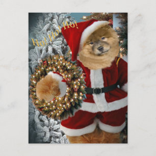 Chow Chow Santa Paws Feiertagspostkarte