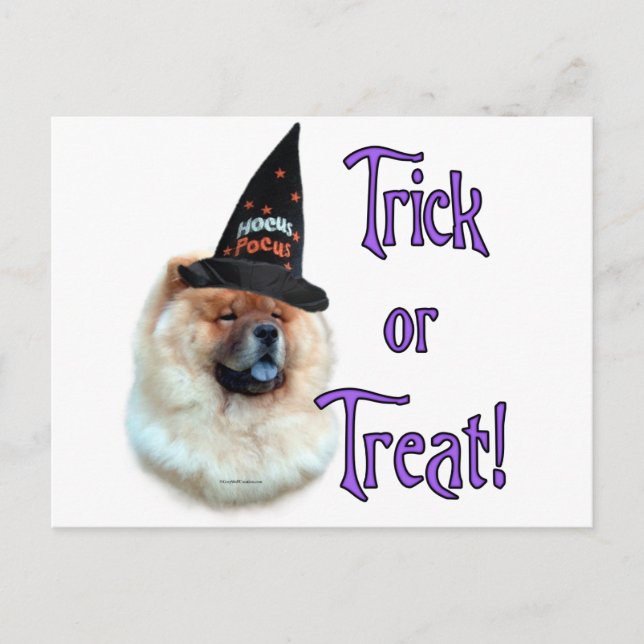 Chow Chow Trick Postkarte (Vorderseite)