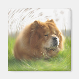 Chow-Chow Urlaub Magnet