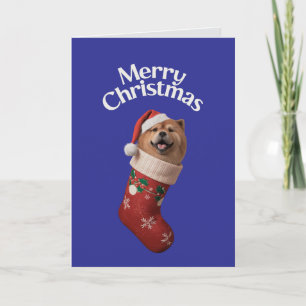 Chow Chow Weihnachts-Strumpf Karte