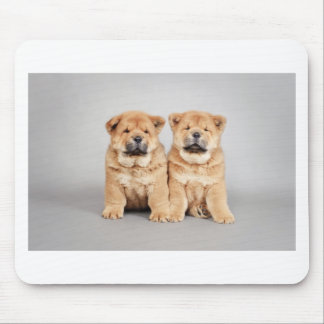 Chow chow Welpen Mousepad