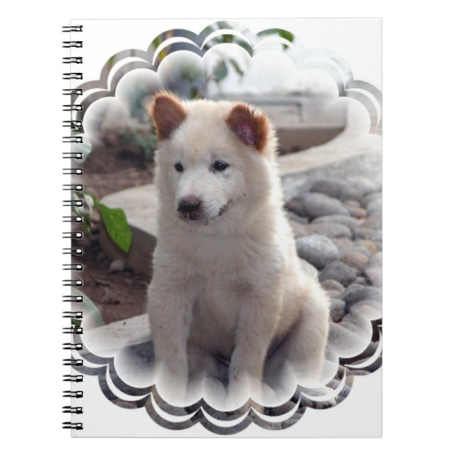 Chow-Chow Welpen-Notizbuch Notizblock (Vorderseite)