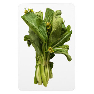 Choy Sum Foto Magnet